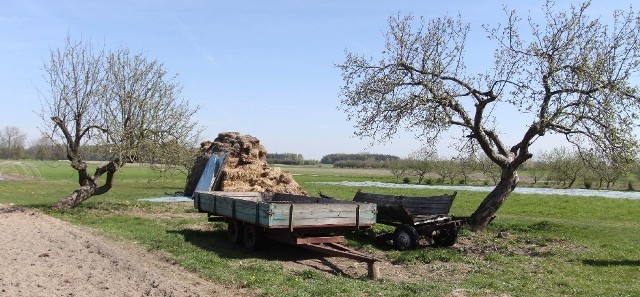 Tragedia rozegrała się przy tej przyczepie. Obok niej widać ślady krwi.