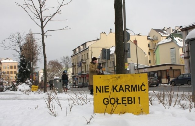 Takie tabliczki, ustawione na rogu ulic Sienkiewicza i Paderewskiego w Kielcach, odstraszają ludzi chcących nakarmić ptaki.