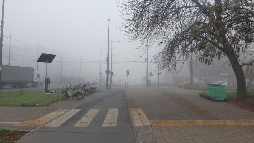Znowu mgła nad Łodzią.Trudne warunki na drodze. Jest ostrzeżenie IMGW. Kiedy mgły się skończą? ZDJĘCIA