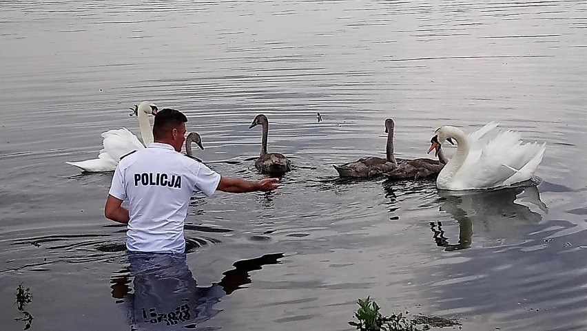 Funkcjonariusze z tzw. Nieetatowego Zespołu ds. Prewencji na...