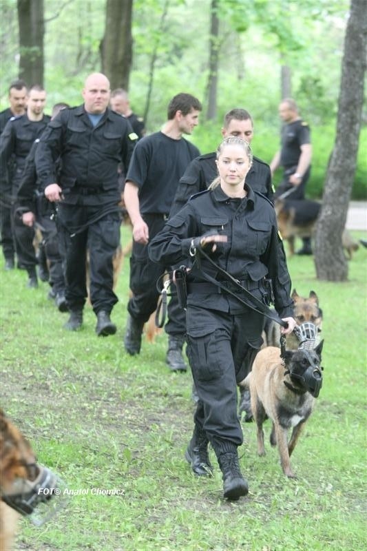 Pokaz tresury psów 