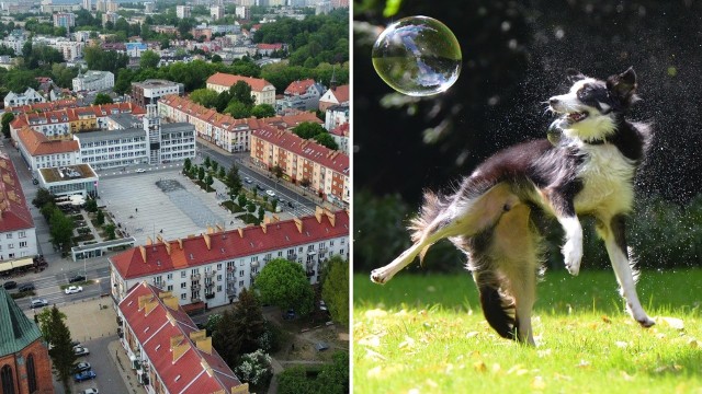 Decyzja została podjęta podczas czwartkowej sesji Rady Miejskiej w Koszalinie.