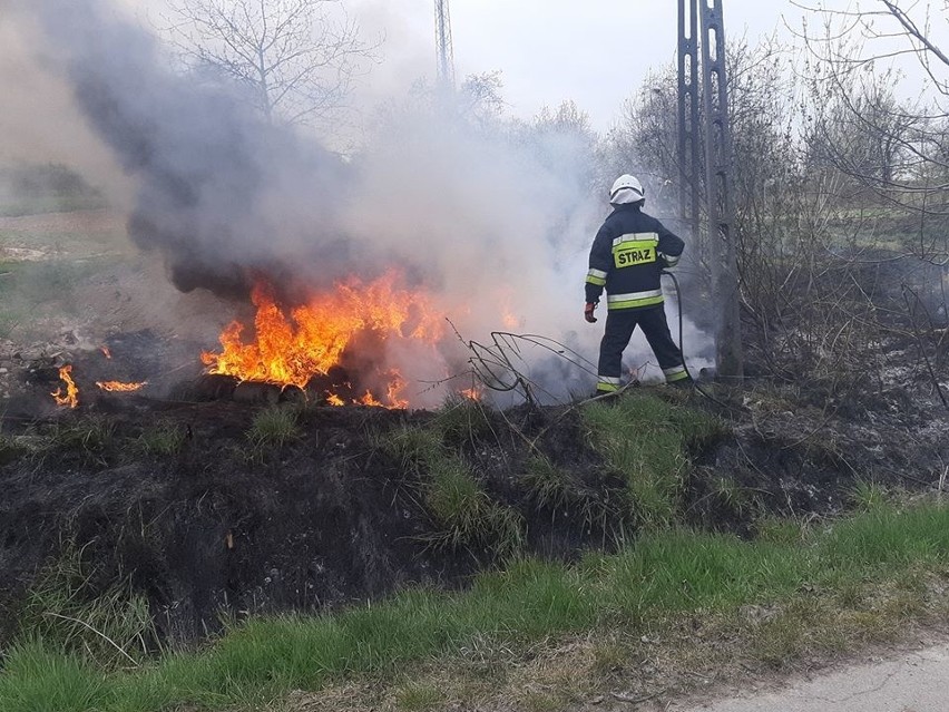 Lawina pożarów traw w powiecie wielickim. Strażacy ostrzegają i przypominają o karach ]ZDJĘCIA]