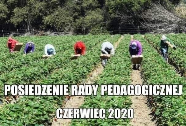 Nauczyciele pójdą w truskawki? Zobacz memy, które podbiły...