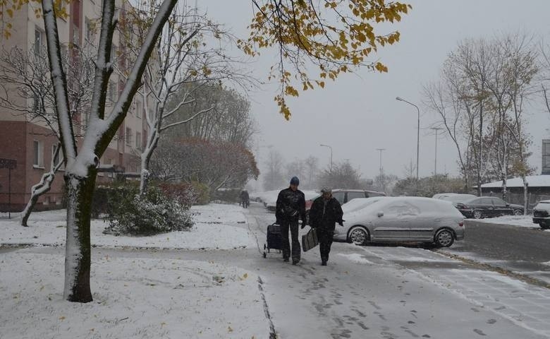Pierwsze opady śniegu nie zapowiadają się w Łodzi obficie....