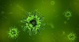 W Kielcach brakuje bezpłatnych szczepionek przeciwko grypie 