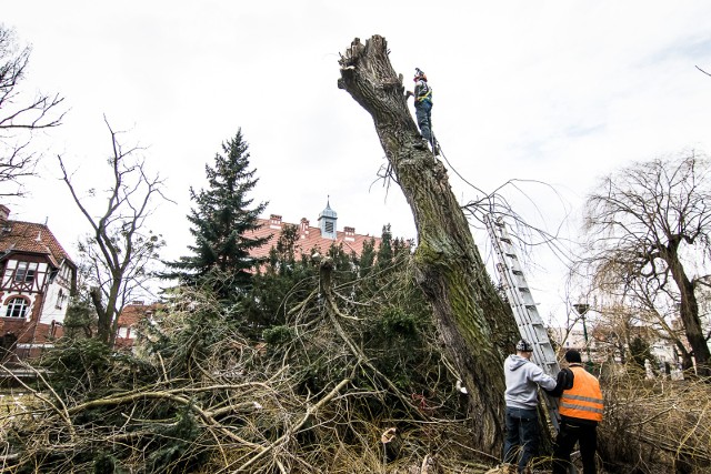Władze miasta spotkały się z mieszkańcami Rudaka i Podgórza. Pytano przede wszystkim o remonty dróg i prowadzoną wycinkę drzew.