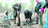 Czyny społeczne wracają do łask. Chcemy pracować, ale dla siebie