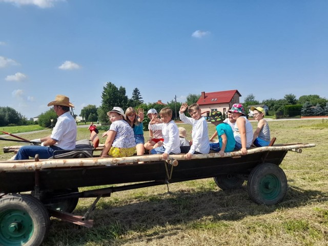 W sobotę, 24 lipca, w sandomierskim Nadbrzeziu - dawnej, rolniczej części miasta odbył się wyjątkowy pokaz obrzędowy przedstawiający pracę rolników w czasie żniw pod nazwą „Staropolskie żniwa w Nadbrzeziu – czyli jak to dawniej bywało”. O godzinie 10 żniwiarzy przywiozła do prac polowych furmanka, potem zaprezentowano koszenie pszenicy oraz wiązanie i stawianie snopów. Zobacz więcej na kolejnych slajdach >>>