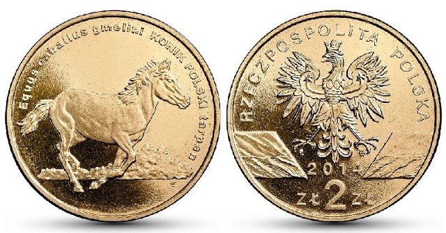 Od poniedziałku w "Gazecie Lubuskiej" rusza konkurs, w którym do wygrania jest 40 monet kolekcjonerskich NBP z serii "Zwierzęta Świata" - Konik polski