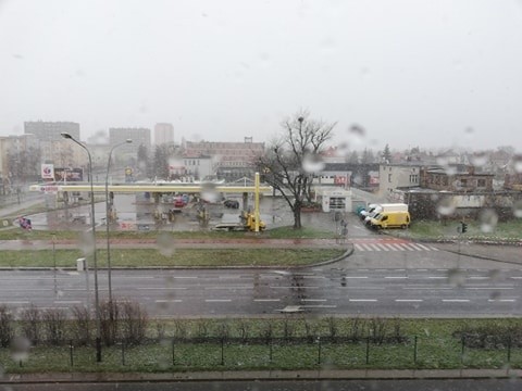 W niektórych miejscach Poznania spadł śnieg.