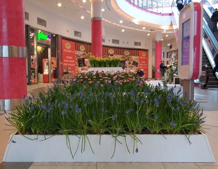 3500 żywych roślin w Poznań City Center