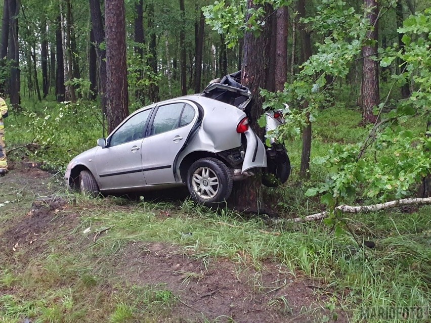 Seat owinął się na drzewie. Wypadek na drodze krajowej 45 w Jasieniu w powiecie kluczborskim