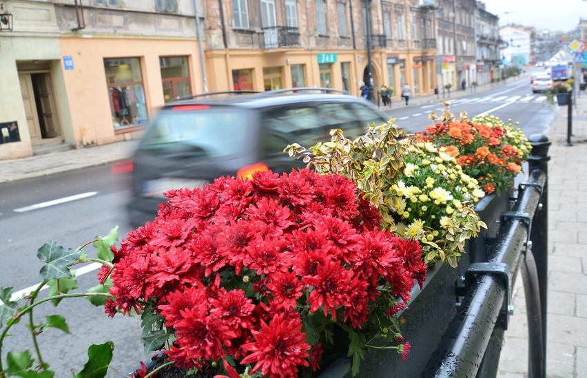 Na Lubartowskiej pojawiły się skrzynki z kwiatami
