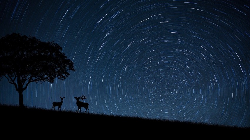 Eta Akwarydy - rój meteorów już maju. Gdzie i kiedy widać...