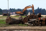  Via Carpatia. Znów czarne chmury nad podlaską S19. Są odwołania od decyzji środowiskowej. W tle orlik krzykliwy