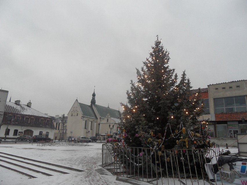 Dzisiaj zapalono światełka na choince na Starym Mieście w...