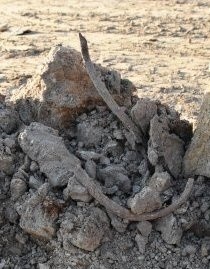 Podczas budowy drogi w Sędziszowie Małopolskim pracownicy natrafili na fragmenty szkieletu, pociski, łuski oraz nieśmiertelnik