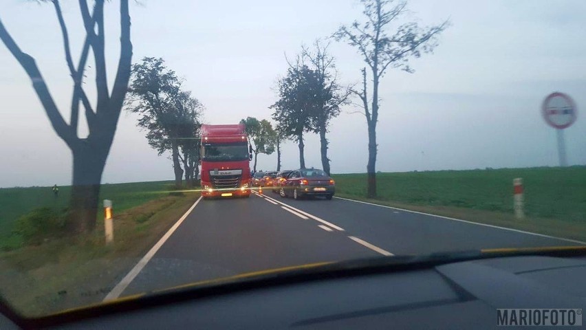 Obława Opolskie. Trwa akcja policji w powiatach kluczborskim, oleskim i namysłowskim. Ścigani porywacze dziecka z powiatu wieluńskiego