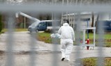 Polska odzyska status kraju wolnego od ptasiej grypy? Główny Lekarz Weterynarii wystąpił z wnioskiem. Tyle trwa procedura