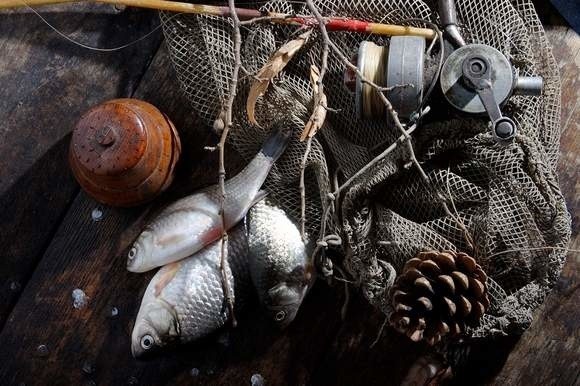 Kłusownik złapał ponad 500 kg szczupaków