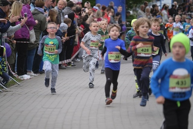 Główne dystanse "Run Toruń 2019 - Zwiedzaj ze zdrowiem!" są zaplanowane na niedzielę. Już w sobotę na starcie stanęli jednak najmłodsi. Liczne grono dzieci rywalizowało na dystansie od 100 do 1000 metrów. Najkrótsza trasa była przeznaczona dla zawodników w wieku 2 i 3 lat.
