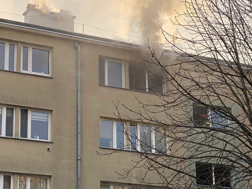 Tragiczny pożar ukryty mieszkania w Krakowie. Jedna osoba nie żyje, nie przeżył też pies