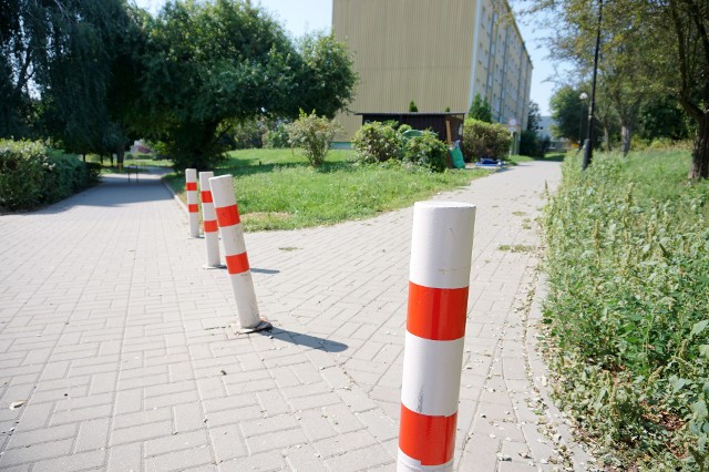 Do pożaru doszło w niedzielę o godz. 21.40. Straż pożarna zatrzymała się przed słupkami. Rozwinęła wąż i ugasiła ogień