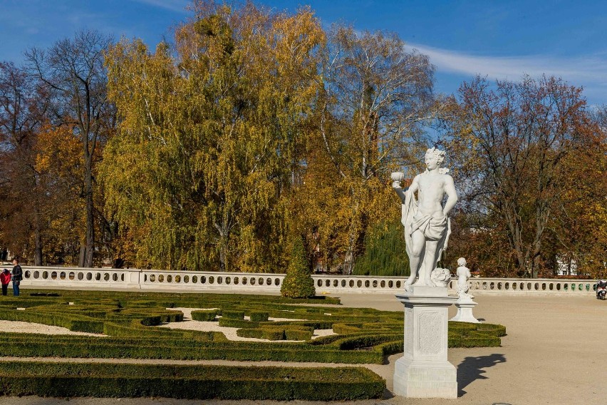 Złota polska jesień zawitała do Białegostoku. W parkach...