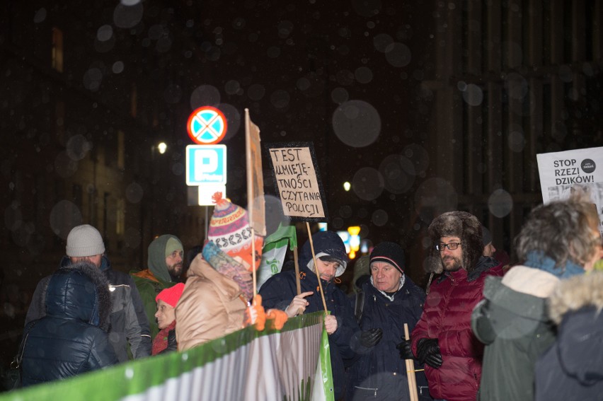 Protest przeciw odstrzałowi dzików pod Sejmem (9/01/2019)