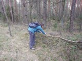 Sasanki z Biebrzańskiego Parku Narodowego na celowniku złodziei. Przed kradzieżą chronili je wolontariusze z Francji