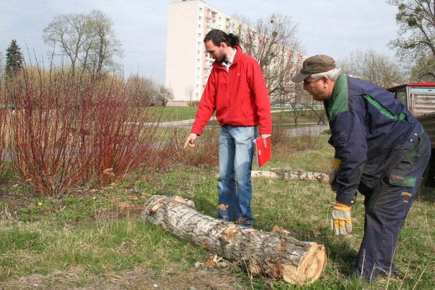 Poznań: Traszki na Ratajach mają 70 &quot;domków&quot;