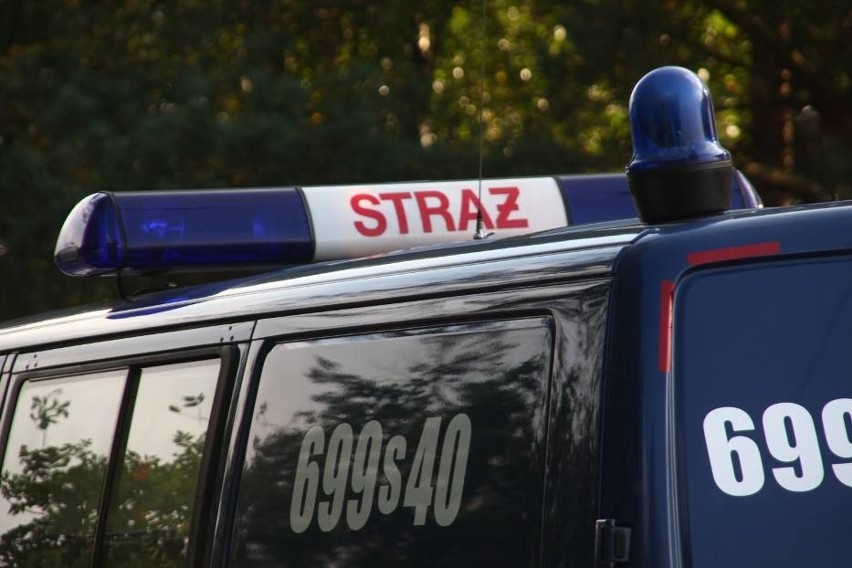 Nie żyje zaginiony 23-latek z Żor. Powiesił się na drzewie