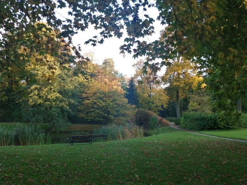 Piękna, złota jesień w parku przy Muzeum Regionalnym w...