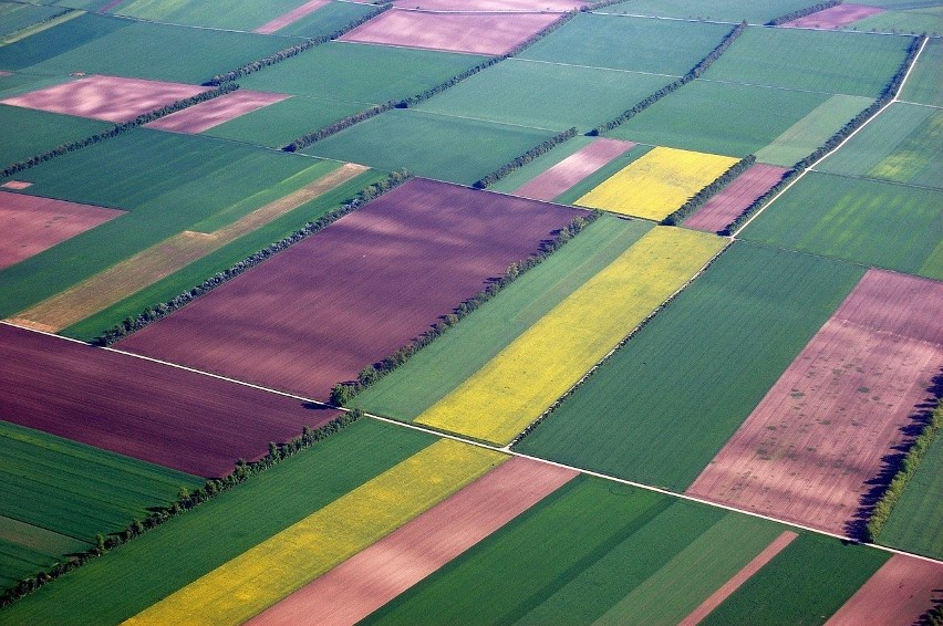 Opolskie: Sprzedam działkę rolną o powierzchni 4,5 ha, V -...