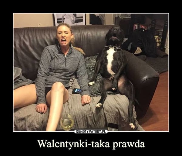 Walentynki 2022 już w poniedziałek 14 lutego. Z tej okazji...