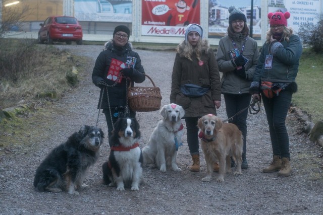 Marta, Beata, Ola, Karolina z Fundacji Dogadanka tradycyjnie kwestowały z golden retriverami. Drugi pies z lewej to Dragon.