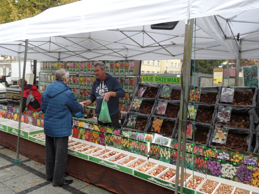 Międzynarodowy Jarmark Produktów Tradycyjnych i Regionalnych...