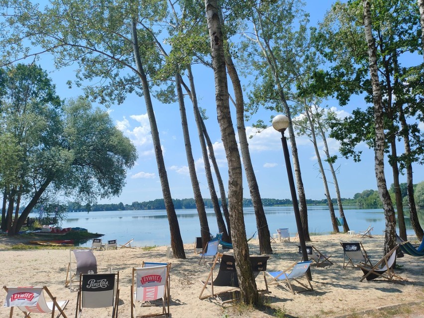 Sekretna plaża pod Gliwicami, ukryta w środku lasu.