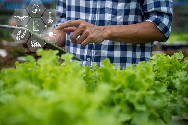 - Nakładanie obowiązku prowadzenia elektronicznego rejestru zabiegów środkami ochrony roślin nie przyczyni się do poprawy bezpieczeństwa żywności – argumentuje samorząd rolniczy