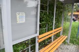 Tarnów. Zieleń ma pojawić się na przystankach autobusowych w Tarnowie. Na razie na trzech wiatach przy al. Jana Pawła II i ul. Błonie