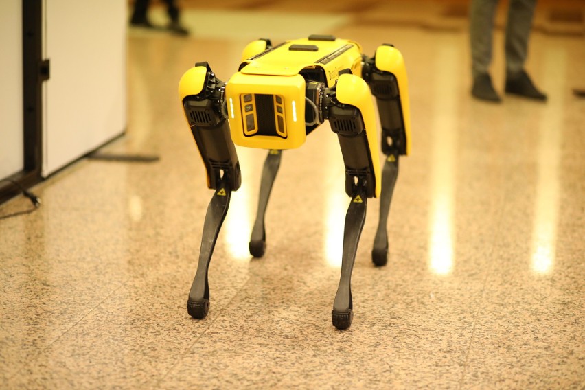 Spot, czyli Pies Robot od Boston Dynamics na IDE.