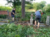 Cmentarz ewangelicki w Toporzysku na celowniku stowarzyszenia Lapidaria