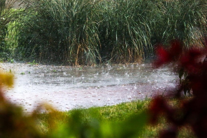 Prognozowana wysokość opadów do 20 mm. Temperatura...