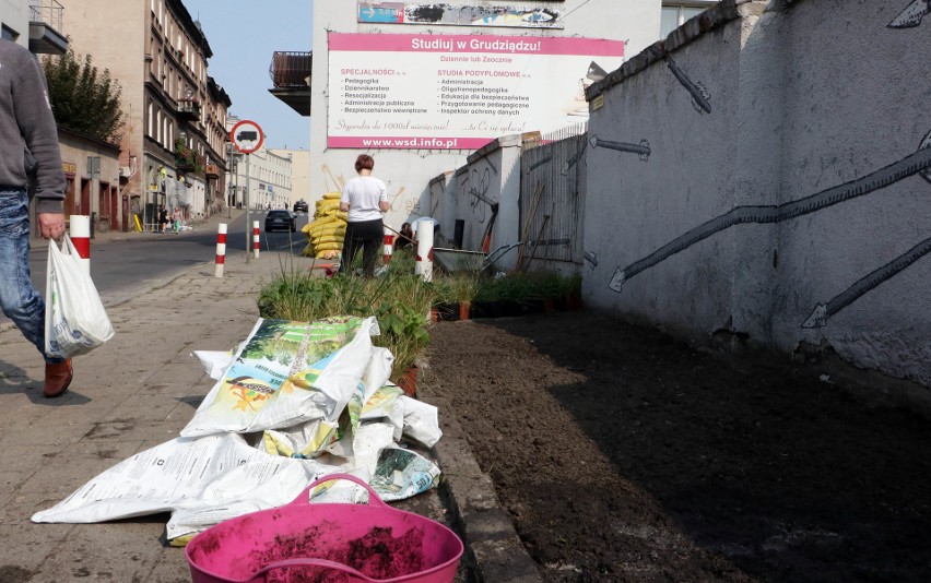 Z inicjatywy lokalnej w Grudziądzu posadzono ponad dwieście roślin pod muralem przy ulicy Małogroblowej [zdjęcia]