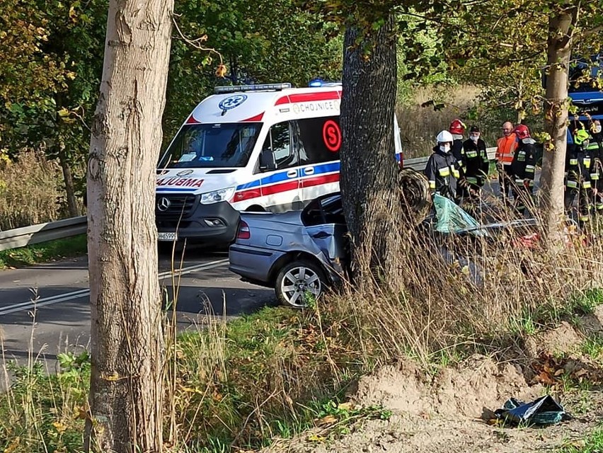 BMW uderzyło w drzewo. Ranne zostały: 24-letnia kobieta i...