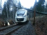 Pociąg do Wrocławia uderzył w drzewo. Ponad 400 minut opóźnienia (ZDJĘCIA)