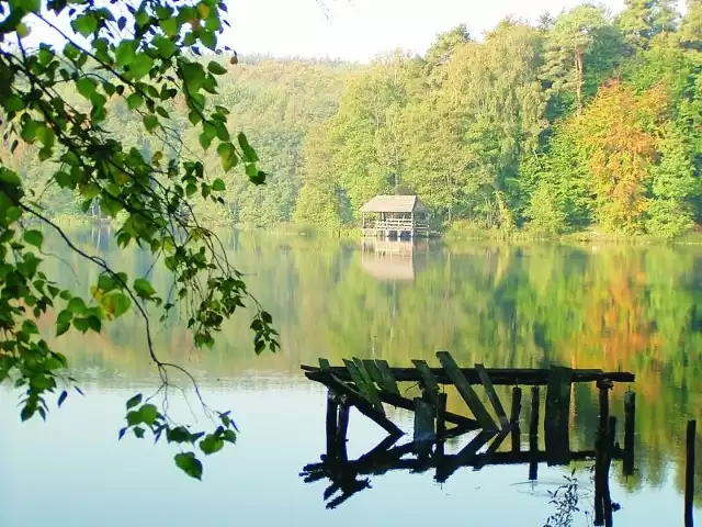 Domek na Wodzie, czyli kryty pomost widokowy przy zachodnim brzegu jeziora to jedno z atrakcji Lubniewska