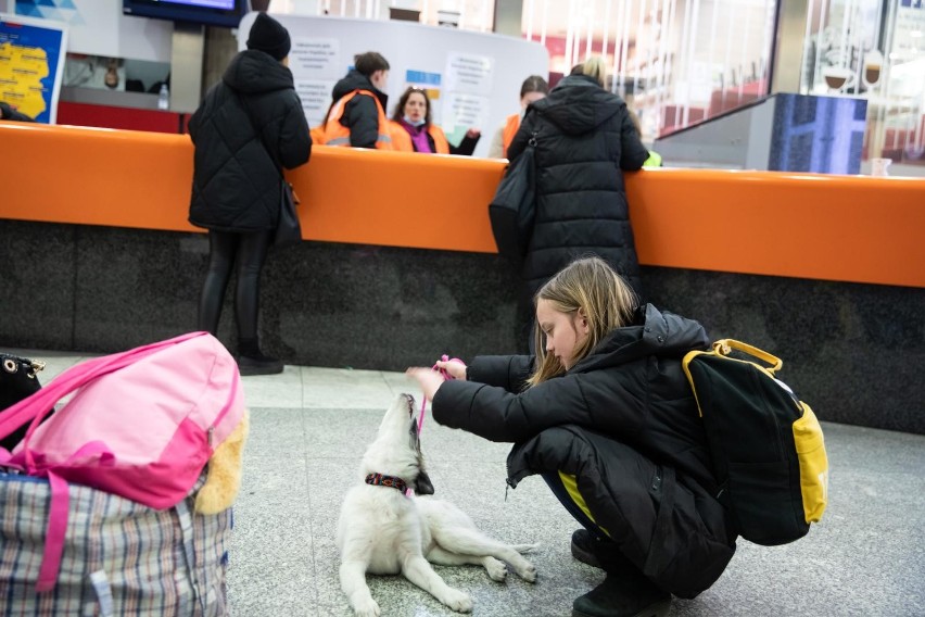 W związku z nadzwyczajną sytuacją kryzysową koszty szczepień...