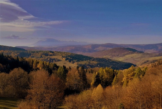 Wędrując do schroniska nad Wierchomlą można podziwiać wspaniałe widoki na pasmo Radziejowej i Tatry